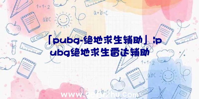 「pubg-绝地求生辅助」|pubg绝地求生雷达辅助